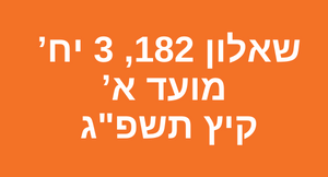 פתרון מועד א קיץ 2023